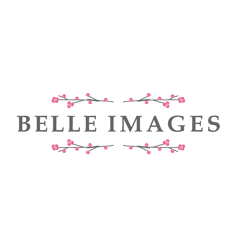 Belle Images Logo